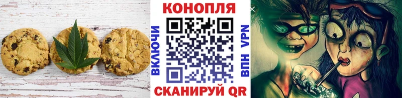 купить закладку  hydra вход  Canna-Cookies конопля  Инсар 