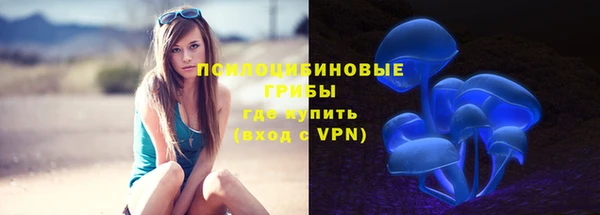 шишки Абдулино