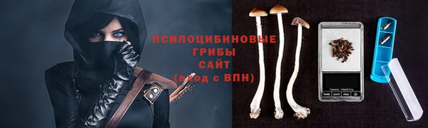 герыч Абаза