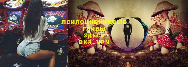 шишки Абдулино