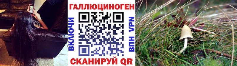 shop телеграм  магазин продажи   Инсар  Псилоцибиновые грибы мухоморы 